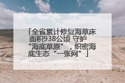 全省累计修复海草床面积938公顷 守护“海底草原”，织密海底生态“一张网”